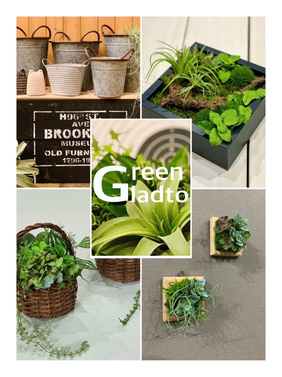 Green gladto